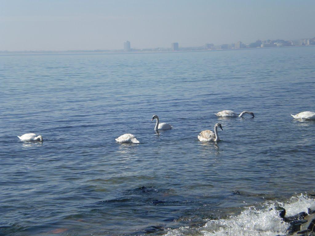 Family Hotel Venera Sveti Vlas Luaran gambar